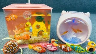 Thumbnail: Satisfied unboxing, fishing aquarium, robot fish, marine life, colorful fish, fish tank toy ASMR