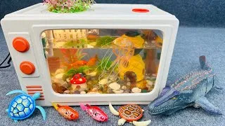 Thumbnail: Satisfied unboxing, fishing aquarium, colorful fish, remote control fish, aquarium toy ASMR