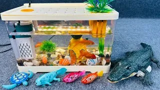 Thumbnail: Satisfied unboxing, aquarium, robot fish, live fish, marine life, fishing toy, ASMR | toy evaluation
