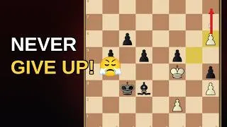 Thumbnail: Don't Resign , Chess Rating Climb To 1300 ELO - Episode 5 | 1236 To 1252 ELO