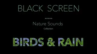 Thumbnail: Relaxing Nature Sounds-Birdsong & Rain Sounds for Sleeping Black Screen - Calming Water Ambience