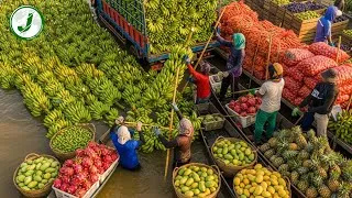 Thumbnail: Record-Breaking Harvests – How Farmers Collect Billions of Tons of Fruits & Vegetables
