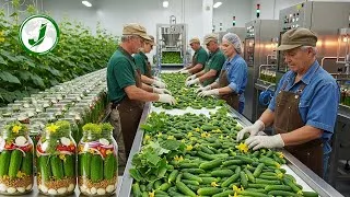 Thumbnail: How Pickles Are Made - Inside the Mega Factory Processing Billions of Cucumbers Each Year