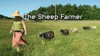 Thumbnail: The Sheep Farmer: A Day in the Life