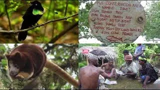Thumbnail: SMART Monitoring for Adaptive Management in YUS Conservation Area in Papua New Guinea