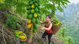 Thumbnail: Harvesting Tons of Papaya on the Mountain & Selling at the village market It to Support Her Family