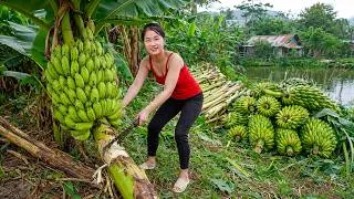 Thumbnail: Harvesting Hundreds of Banana Bunches Deep in the Forest & Selling Them at Market