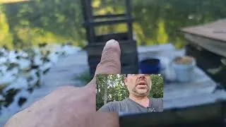 Thumbnail: Growing on Water: The Floating Dock Project Update
