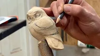 Thumbnail: Carving A Sleeping Owl In A Bonsai Tree!