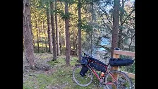Thumbnail: Forest Bathing by Bike - Impressions from the Eifel and Ardennes