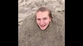 Thumbnail: vine and ivy like compilation