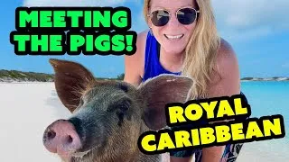 Thumbnail: Swimming with the Pigs at CocoCay in the Bahamas