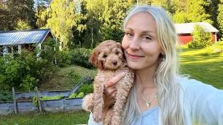 Thumbnail: A New Little Soul Has Entered My Life | Welcoming Lumi