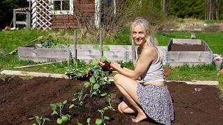 Thumbnail: A Month of Doubt, Gratitude & Growth | Life in Northern Sweden