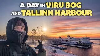 Thumbnail: Viru Bog & Tallinn Harbour 🇪🇪 | Estonia Winter Travel & Photography