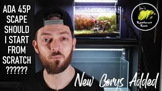 Thumbnail: Can I Rescue My ADA 45p Aquascape & New Pygmy Corydoras