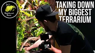 Thumbnail: Taking Down My Biggest Terrarium - Panther Chameleon Bioactive Terrarium