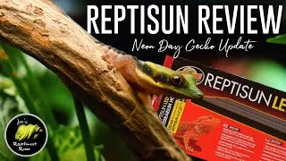 Thumbnail: Zoo Med Reptisun LED UVB Review & Neon Day Gecko Update