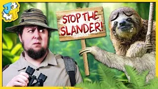 Thumbnail: The Media is Bullying Sloths (For Some Reason)