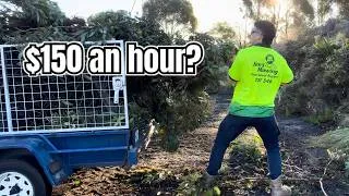 Thumbnail: Jim's Mowing Is HARD On Your Body, Is It Worth The Money?
