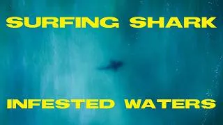 Thumbnail: We Surfed Shark Infested Waters in South Africa!