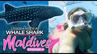 Thumbnail: I Swam with a WHALE SHARK in the Maldives (Budget Ep. 4)