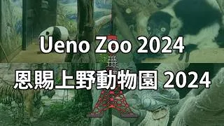 Thumbnail: Japan 2024: A Visit to Ueno Zoo