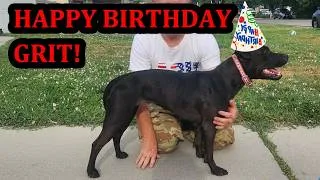 Thumbnail: Happy Birthday Grit!
