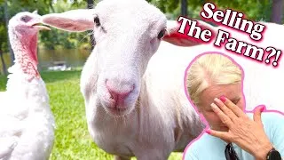 Thumbnail: Momma gives us a Farm Update 😳 Things aren’t going as planned…