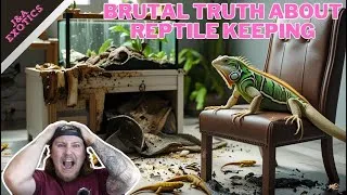 Thumbnail: The Brutal Truth About Reptile Keeping-Top 5 Pains Of The Hobby