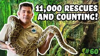 Thumbnail: 11,000 Rescues and Counting! How J&R Aquatic Animal Rescue Started - Josh's Frogs Podcast Episode 60
