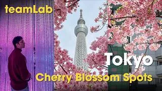 Thumbnail: Tokyo's Photo Spots - teamLab Planets | Shibuya Sky | Cherry Blossom & more