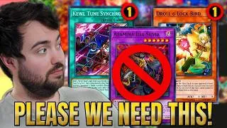 Thumbnail: OMG YES! THIS BANLIST WOULD CHANGE MY LIFE