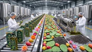 Thumbnail: Inside a Cactus Seed Oil Factory 🌵🏭  How Millions of Cactus Seeds Become Premium Hair Oil