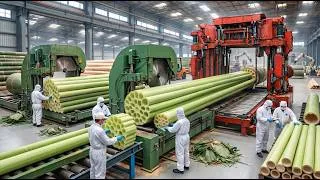 Thumbnail: How Lotus Fiber Is Made From Lotus Stems  From Ancient Plant to Modern Luxury Fabric