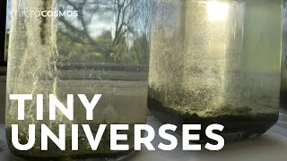 Thumbnail: A Collection of Tiny Universes