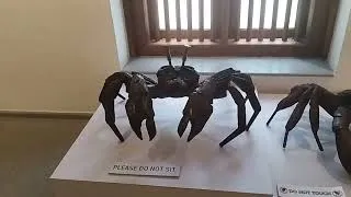 Thumbnail: சென்னையில் இப்படி ஒரு இடமா🤗tourist place | dakshina chitra Must Visit Tourist Place in Chennai