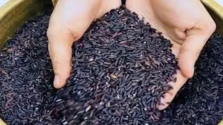 Thumbnail: உடல் எடை கட கட னு குறைய கருப்பு கவுனி அரிசி இப்படி செஞ்சி பாருங்க | Weightloss Recipe in Tamil
