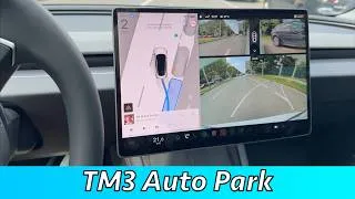 Thumbnail: Tesla Model 3 2026 Auto Park Review (Any good?)