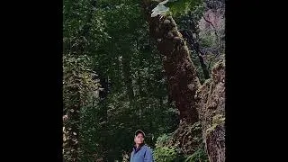 Thumbnail: Exploring  Oregon USA