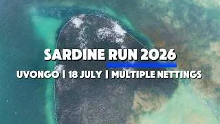 Thumbnail: Sardine Run 2026 | Uvongo Beach | Multiple Nettings | 18 July