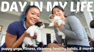 Thumbnail: PRODUCTIVE DAY IN MY LIFE - Sunday Reset Vlog (puppy yoga, cleaning, healthy habits, & more!)