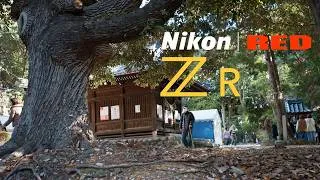 Thumbnail: Life in Japan. New Year's morning at a shrine ⛩️ Nikon ZR cinematic footage #nikonzr