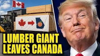 Thumbnail: A Canadian Lumber Giant Is Moving Its Head Office To Georgia - And Blames The Tariffs