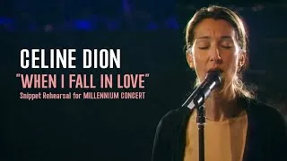 Thumbnail: Celine Dion - When I Fall In Love (Snippet Rehearsal for The Millennium Concert) | TF1 News Report
