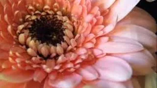 Thumbnail: Yiruma : From The Yellow Room (2)