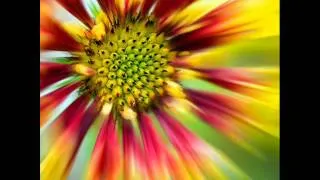 Thumbnail: Johann Sebastian Bach : Arioso (Adagio in G) from Cantata BWV 156