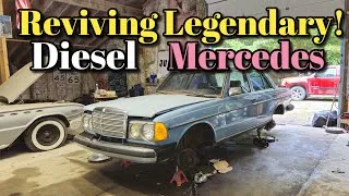 Thumbnail: Giving This Diesel Mercedes Some Love
