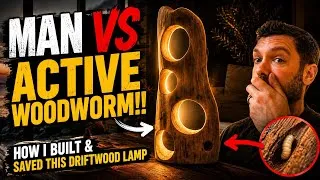 Thumbnail: Man VS Active Woodworm  |  How I Built & Saved This Driftwood Lamp!