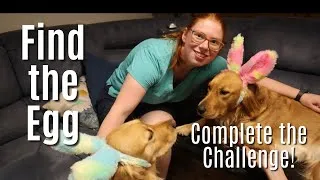 Thumbnail: Life Skills Easter Challenge | Fun Tasks for Teens with Intellectual Disabilities